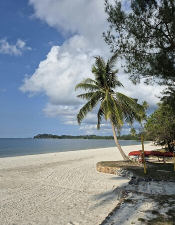 Notre-Dame Cathedral